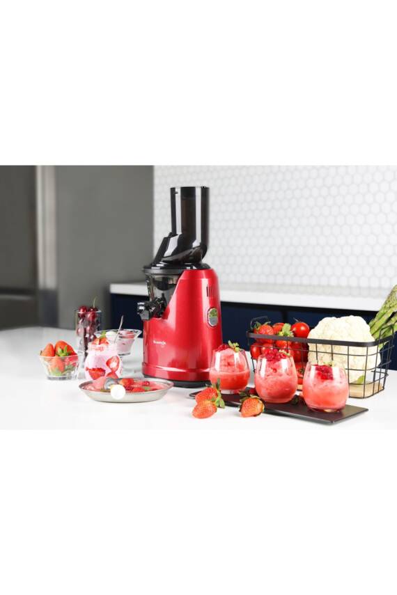 B1700dr Whole Slow Juıcer Coldpress Soğuk Sıkım Katı Meyve Sebze Sıkacağı - 3